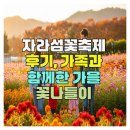 꽃-가족 | 자라섬꽃축제 후기, 가족과 함께한 가을 꽃나들이