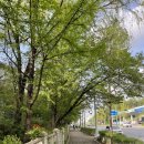 구미로192번길 이미지