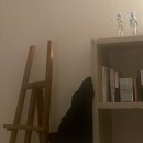 정우성농장 | 네가 없는 내 방에는