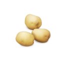 엔와이 모터스 이미지