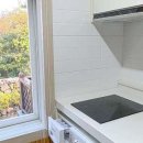 비자림라파 이미지