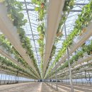 유봉농장 이미지