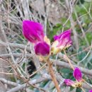 천하태평 이미지