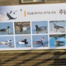 비타민항공여행사
