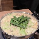 다담이 | 일본 구마모토 나홀로 4박5일 여행 #6 구마모토 모츠나베 타슈(Tashu) 맛집 위치 및 영업시간