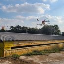 박영주농장 이미지