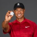 타이거상사 이미지