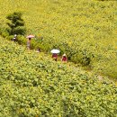 구와우농장 이미지