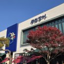 장어의꿈 이미지