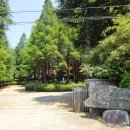 스테이단감 이미지