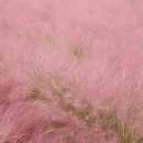 유구읍 석남리 이미지