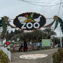 왕눈이농장 | 제주도 서귀포 감귤체험 테마파크 파더스가든 올패스 동물농장 동백꽃길 내돈내산