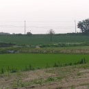 호성자전거 이미지