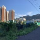 거제중앙중학교 이미지