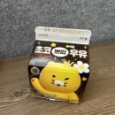 쁘띠돌스 | [편의점] gs25 지에스 춘식이 쁘띠 우유 간단 후기🤎