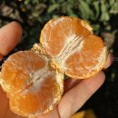 이슬농원 이미지