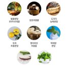 메가폴리스 | 개인적으로 추천하는 목에 좋은 캔디 │호주 네이쳐스영 프로메가폴리스 캔디