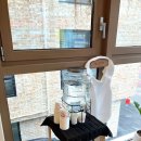 지에스(GS)25 마포당인점 | 마포구 홍대 * 맛집 상수 맛집 오차야 | 따뜻한 육수와 한국식 영양밥 오차즈케 전문점