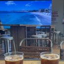 키친썬플라워 이미지