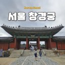 가을 | 서울 가을 나들이 창경궁 방문 후기