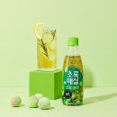 초록식품