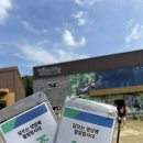 전남 영암 아이랑 가볼 만한 곳 : 영암 곤충박물관 곤충 파충류 체험 후기