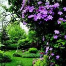 작은정원 이미지