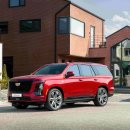 주식회사 뉴오토랜드 이미지