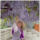 합도초등학교 이미지