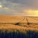 유한회사부동산중개법인엘 이미지