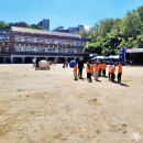 선원초등학교 이미지