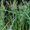 靑春-마음으로 하나 이미지