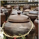 서일여행 이미지