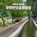 [무주반딧골캠핑장] 대전에서 가까운 계곡 캠핑장 추천 2년차 재방문 후기