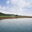 메디언스㈜ 이미지