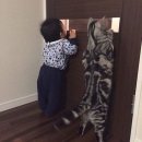 건축사사무소 정연 네이버블로그