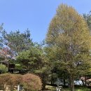 무릉도원면-42 이미지