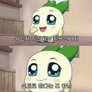 아리하우스 | 인도네시아🇮🇩 | 발리(Bali) | 누사페니다 (Nusa Penida) | 아리라까사 게스트하우스(Ari La Casa) | Day58