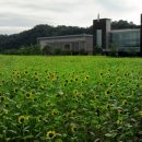 사선대관광지 이미지