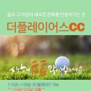 [이벤트] 더플레이어스cc 1월 그린피 특가 이미지