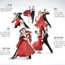 M&J 스포츠 이미지