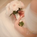 보나헤어 - 칠곡군 | 보나헤어