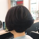 비비헤어비스 이미지