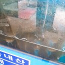 장지골메기매운탕 이미지