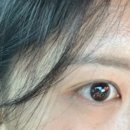 델로우뷰티 | [울산/남구] 델로우뷰티속눈썹 펌 찐 후기!