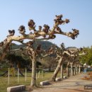 황전북초등학교 이미지