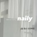 네일리(naily)