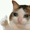 [장가계 패키지 4박 6일(1)] 어떤 여행사를 골라야 할까? (프로여행러가 온라인(여기어때)투어를 선택한...