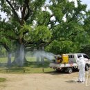 달성군보건소 이미지