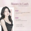 래쉬블룸(Lash Bloom)